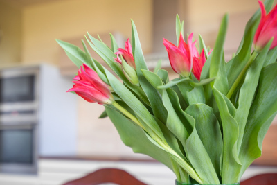 Home staging Osiedle Różane Przecław