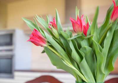 Home staging Osiedle Różane Przecław